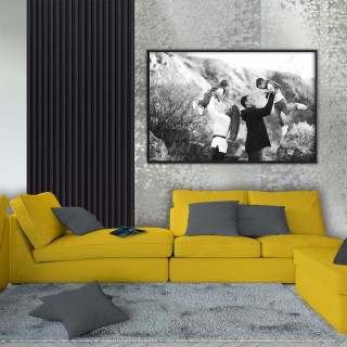 Diseño moderno y elegante para interiores con la placa prisma plata