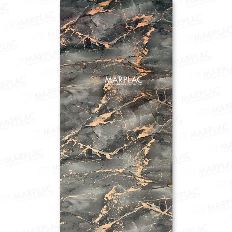 El contraste perfecto entre negro y dorado en una sola placa